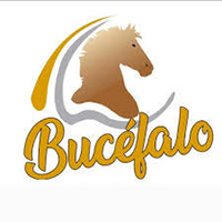 BUCEFALO
