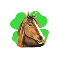 FINISH LINE HORSE PRODUCTS