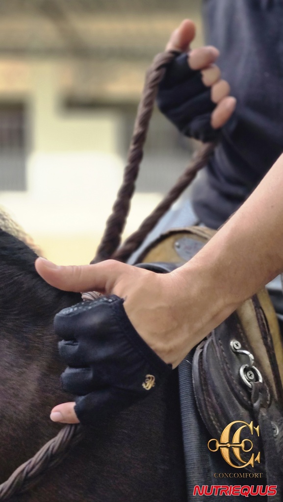 Guantes Cortos Comfort