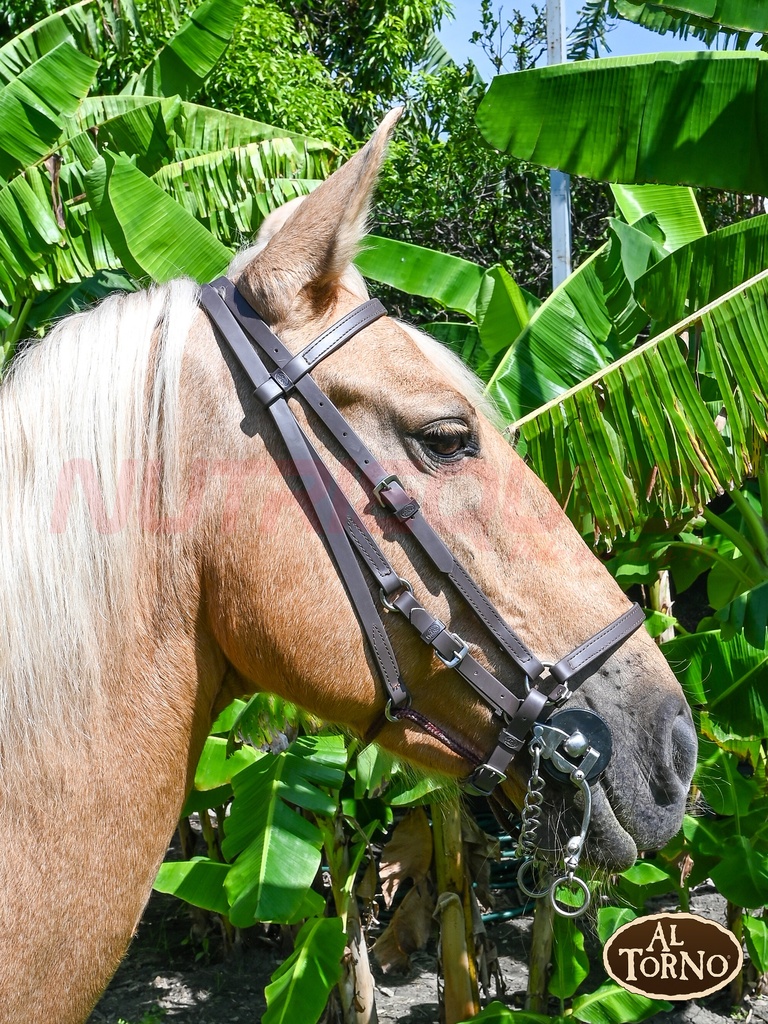 Apero Cabeza Sintetico (AL TORNO)