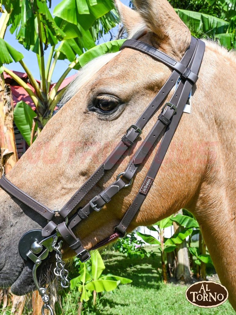 Apero Cabeza Sintetico (AL TORNO)