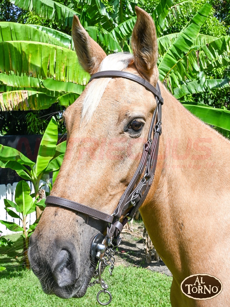 Apero Cabeza Sintetico (AL TORNO)