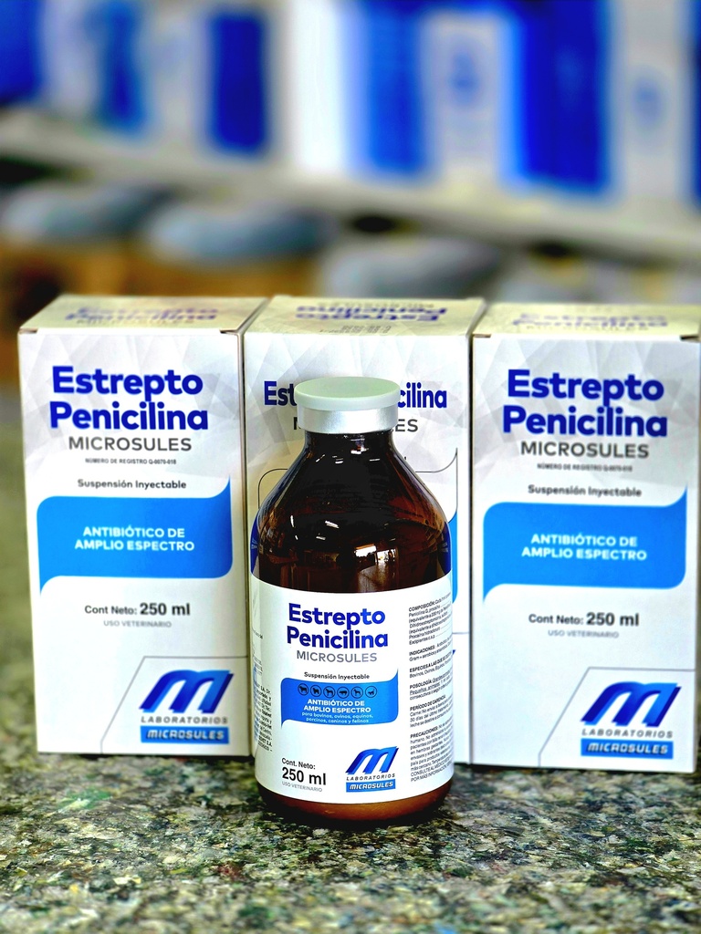 Estreptopenicilina 250ml