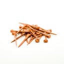 Clavos Ashva