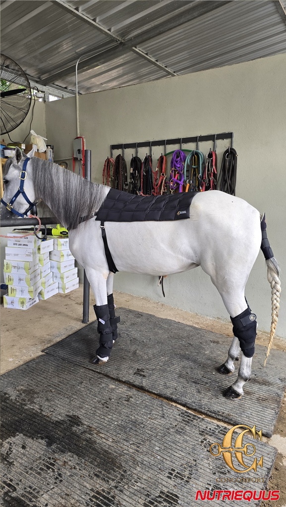 Protectores Patas Comfort