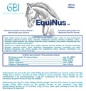 Equinus