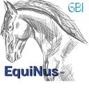 Equinus