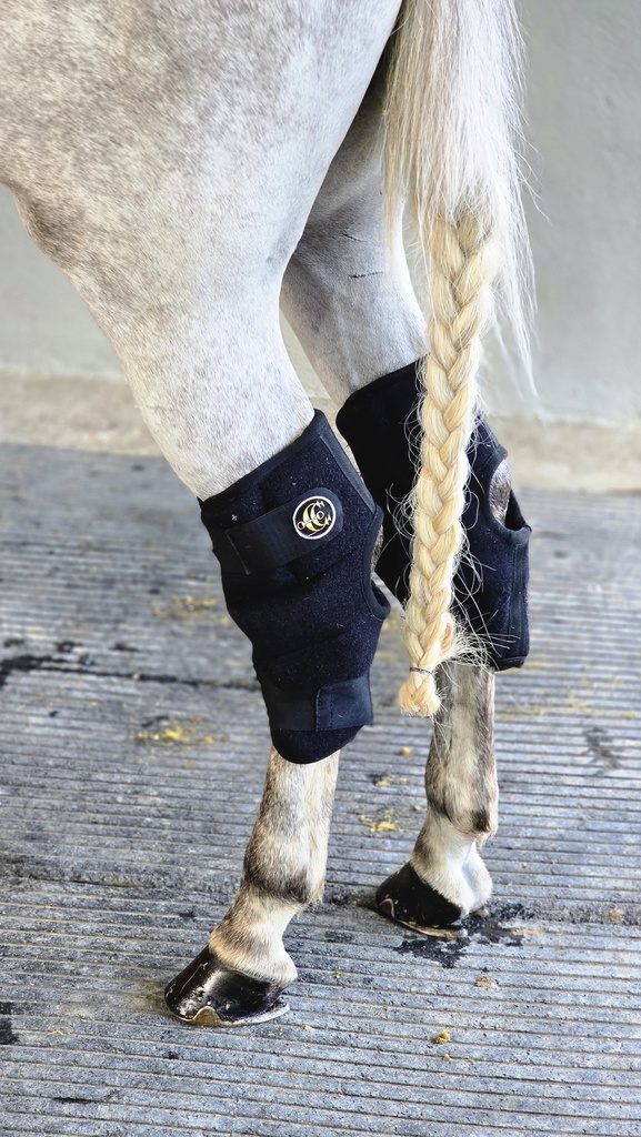 Botas Corvejon Comfort