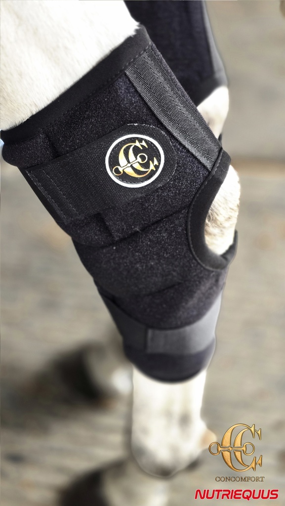 Botas Corvejon Comfort