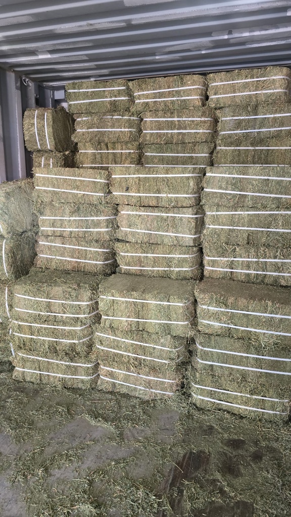Pacas de Alfalfa