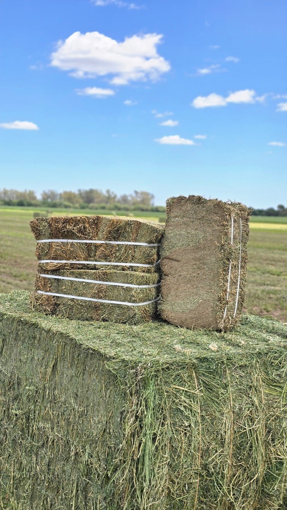 Pacas de Alfalfa