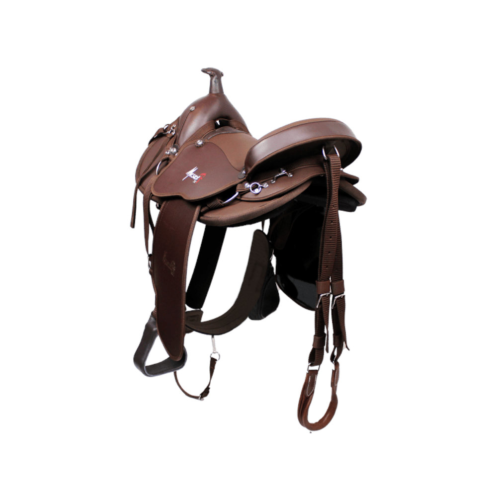 Silla Monarca MESACE