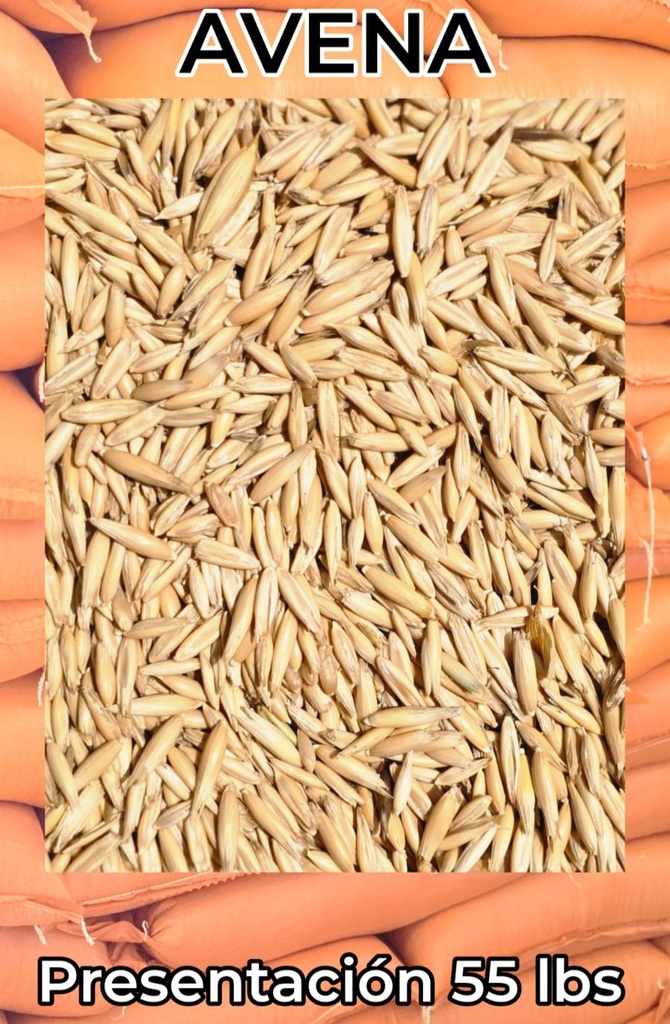 Avena Forrajera 55 lbs