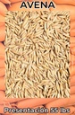 Avena Forrajera 55 lbs