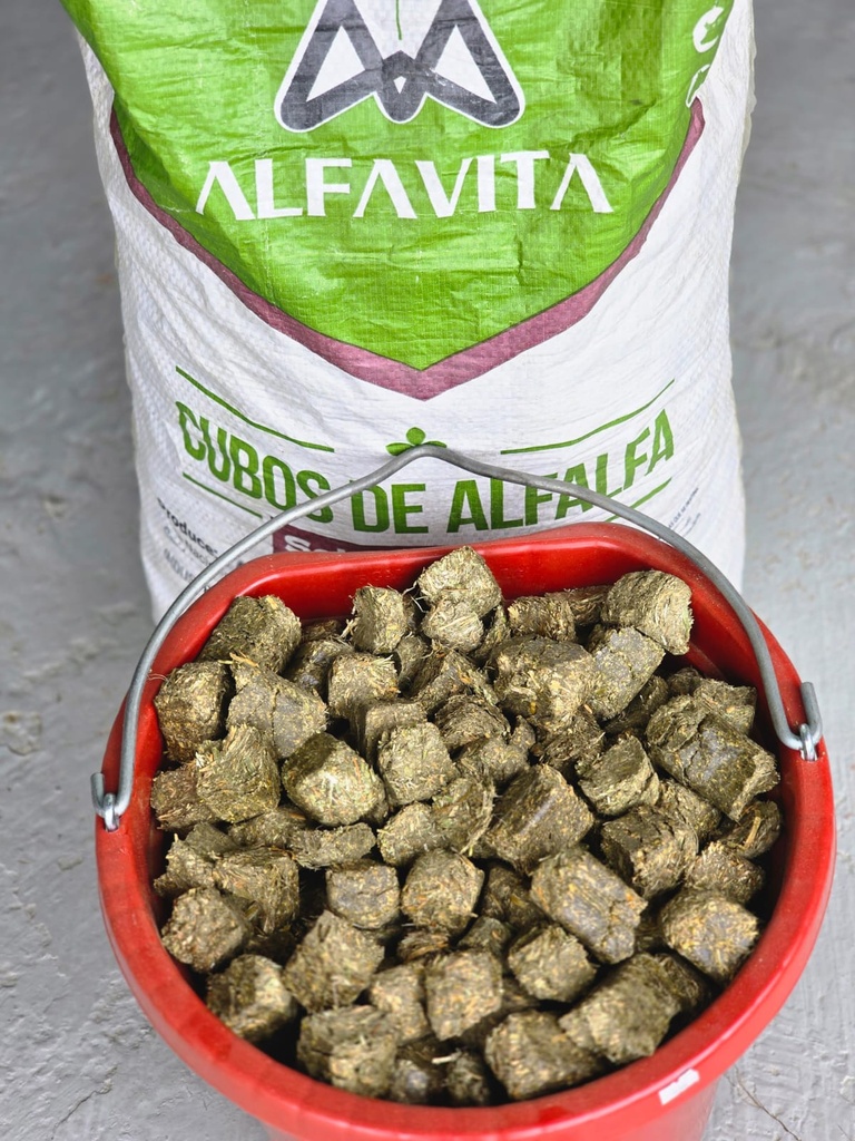 Cubos de Alfalfa 55lbs
