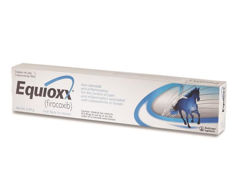 Equiox Pasta