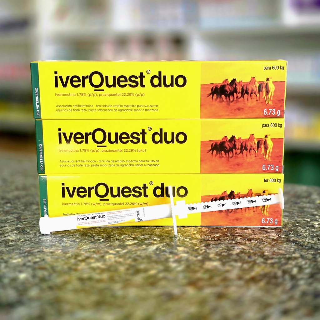 IverQuest Duo