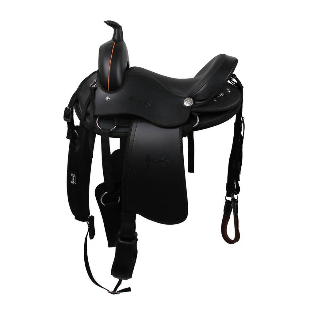 Silla Oklahoma Mesace
