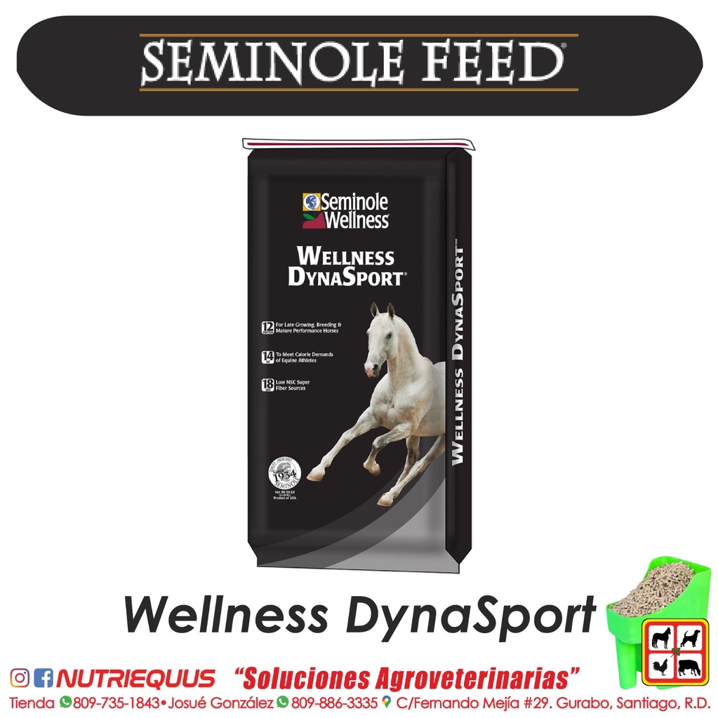 WELLNESS DYNASPORT