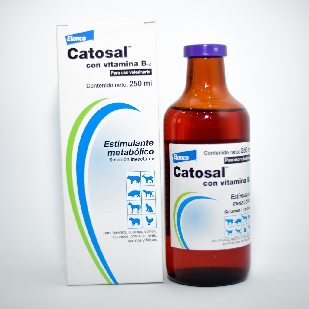 Catosal B12 100ml | Nutriequus