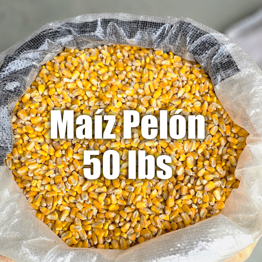 Maiz Entero