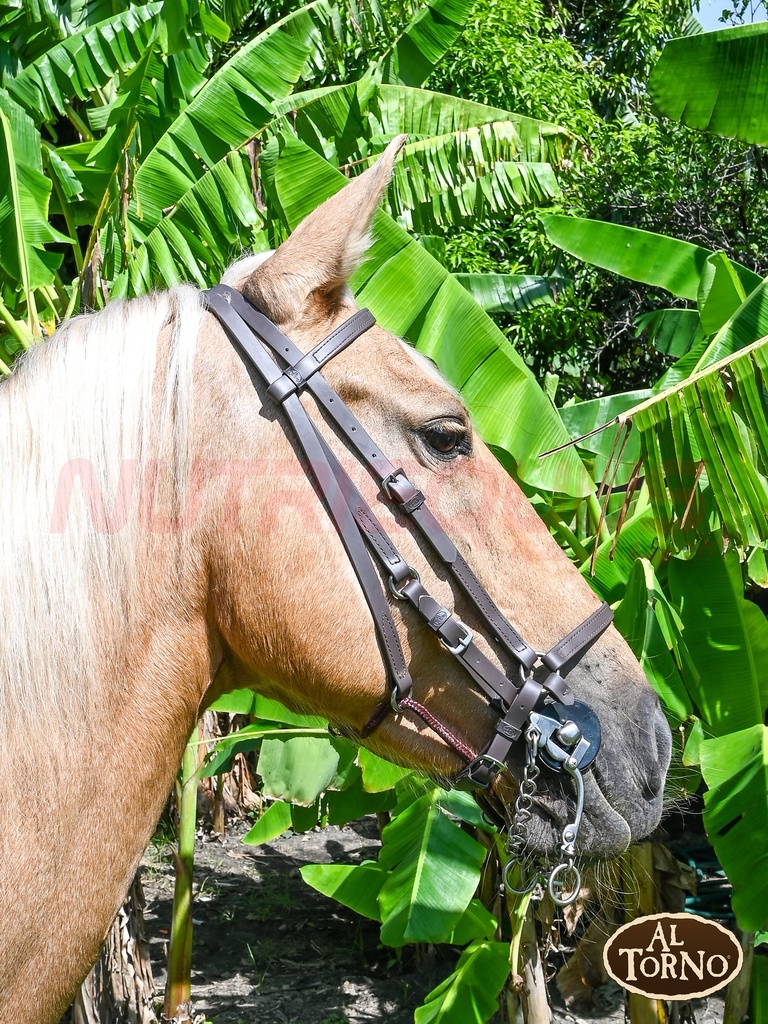 Apero Cabeza Sintetico (AL TORNO)