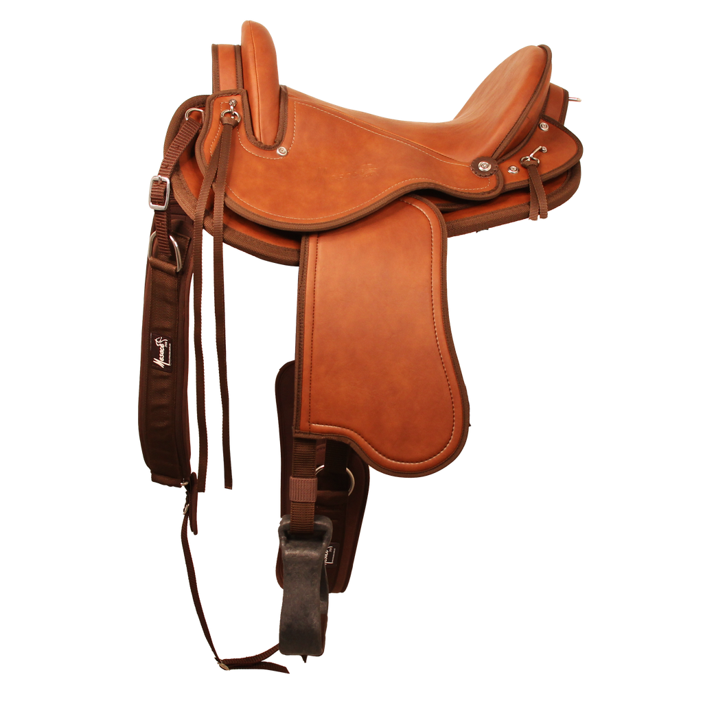 Tereque Coyote Cabalgata