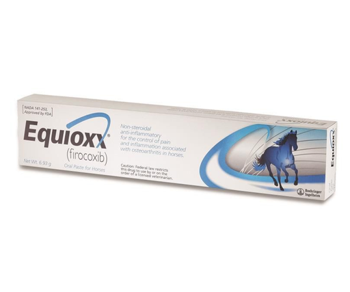 Equiox Pasta