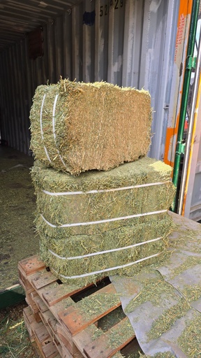 Pacas de Alfalfa