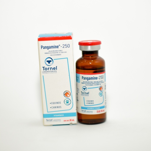 Pangamine 30ml