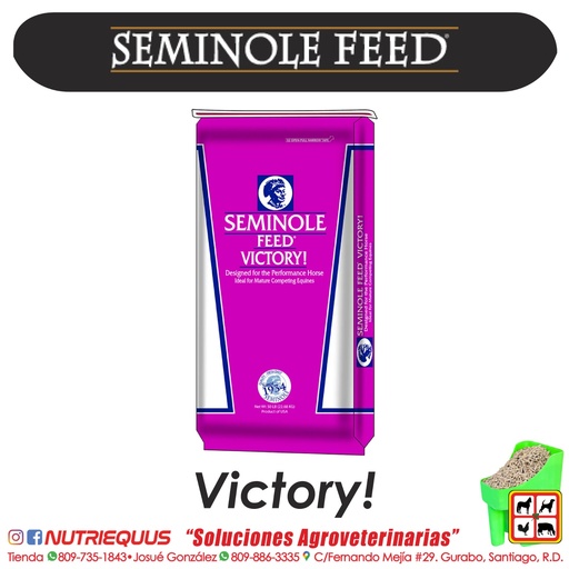 VICTORY