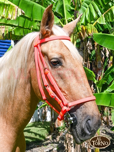 Apero Cabeza Sintetico (AL TORNO)