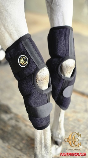 Botas Corvejon Comfort